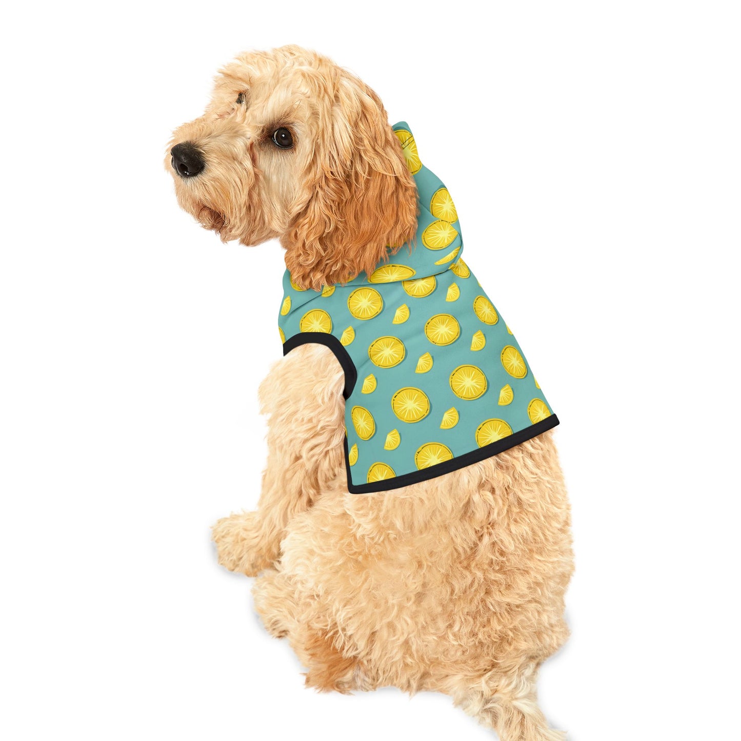 Lemon Slice Pet Hoodie - Fun and Playful Dog Sweater for Pets