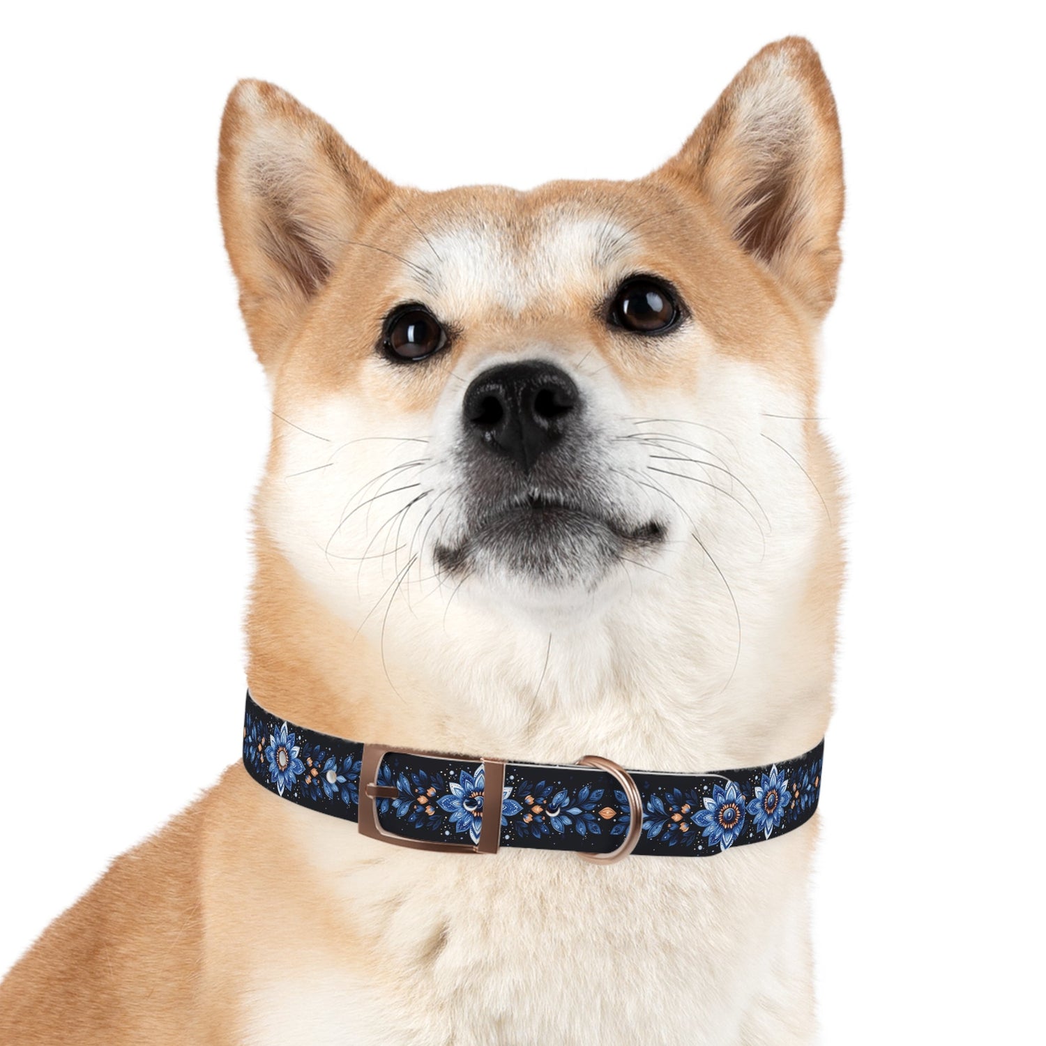 Pet Collars & Tags