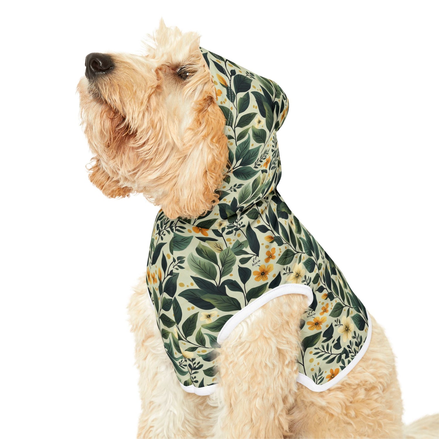 Pet Wear & Accessories