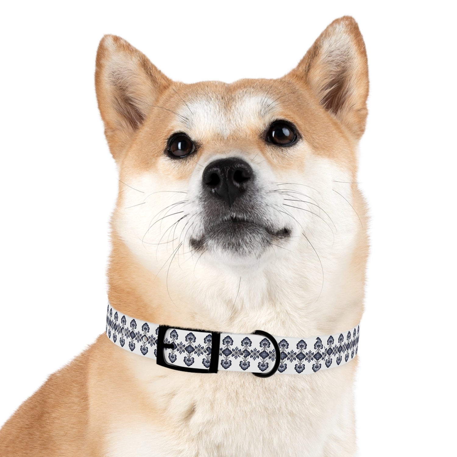 Dog Collars