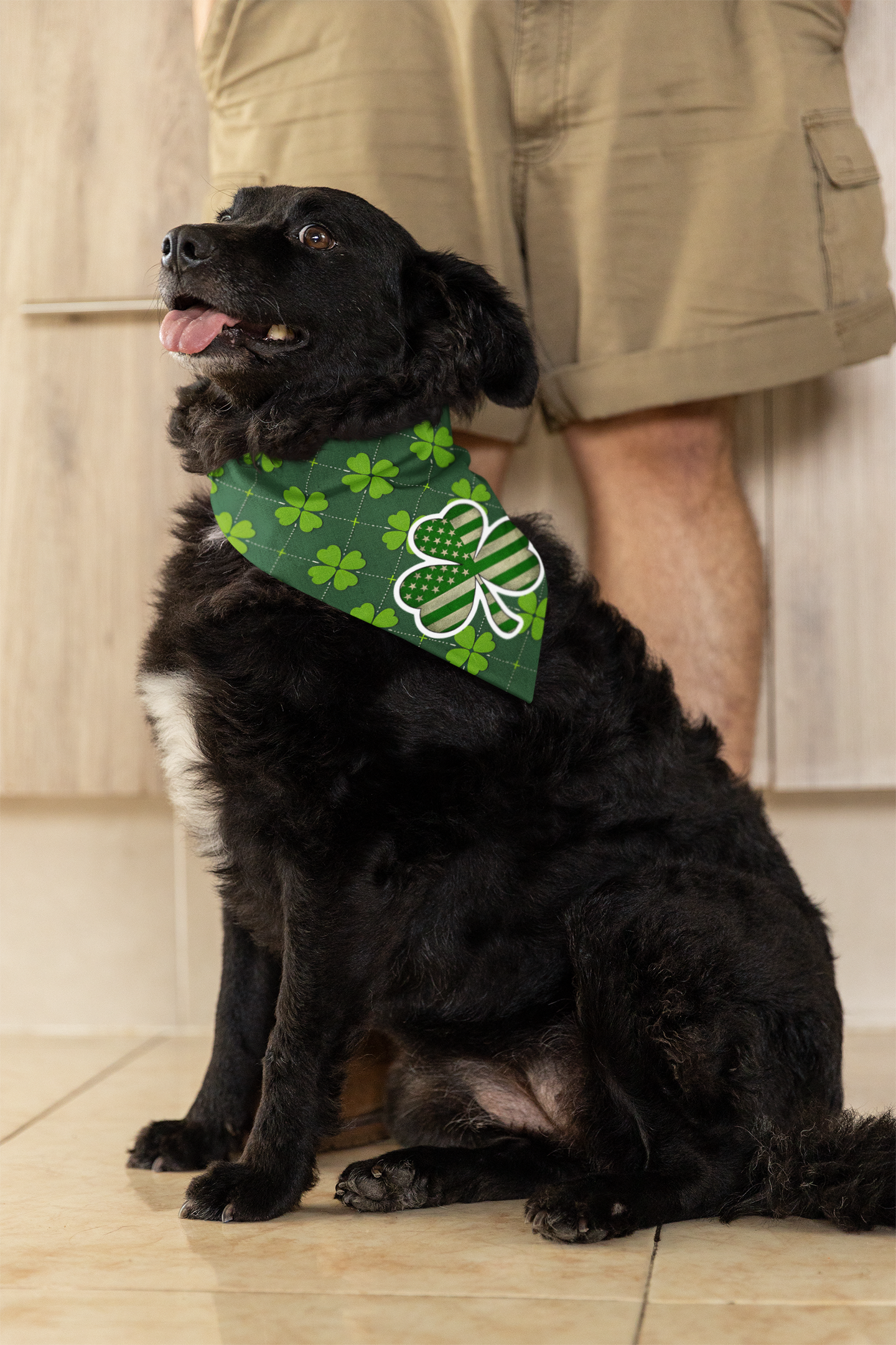 Clip-on Pet Bandana