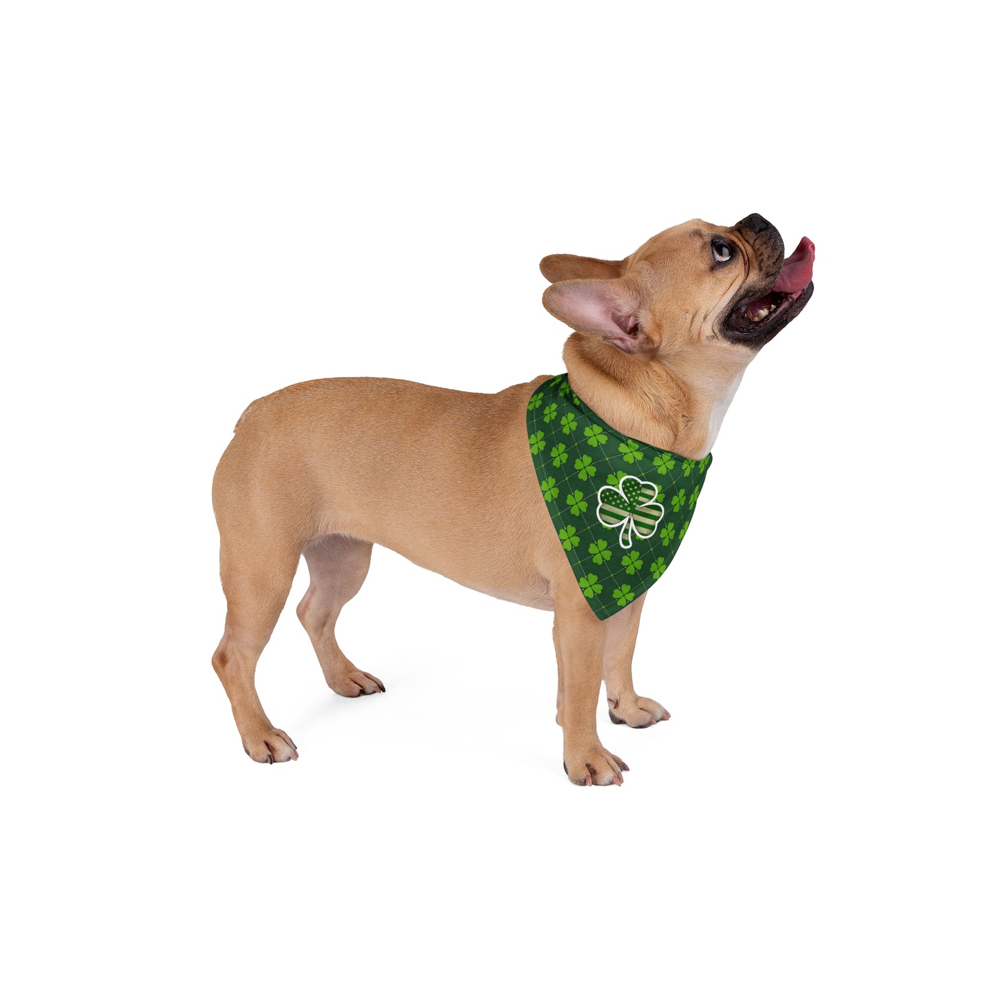 St. Patrick's Day Pet Bandana with Shamrock Design