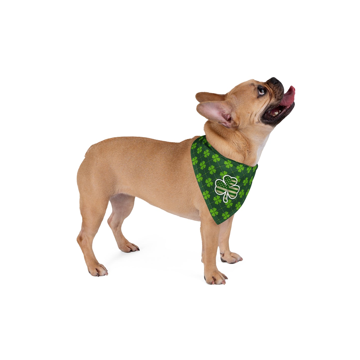 St. Patrick's Day Pet Bandana with Shamrock Design
