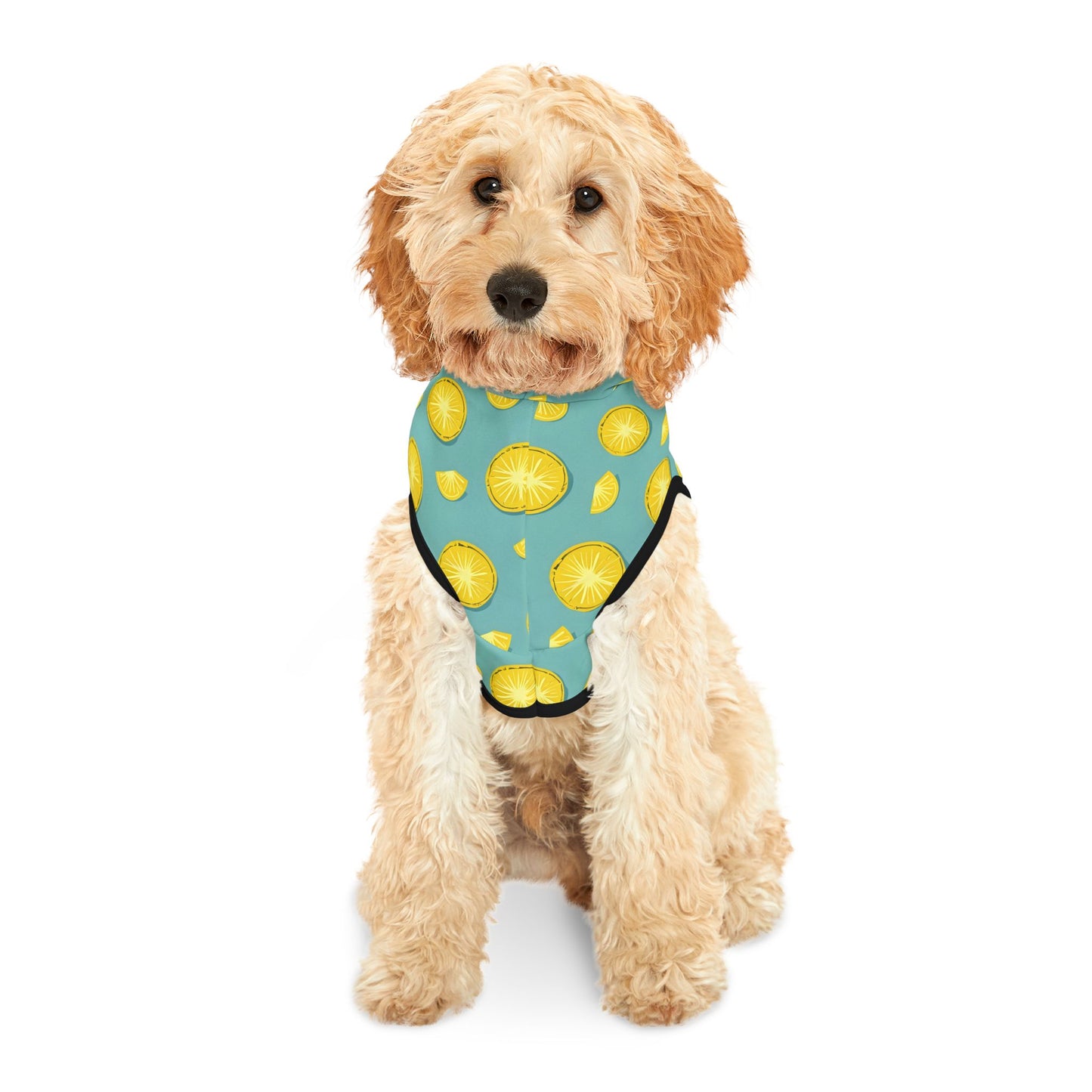 Lemon Slice Pet Hoodie - Fun and Playful Dog Sweater for Pets