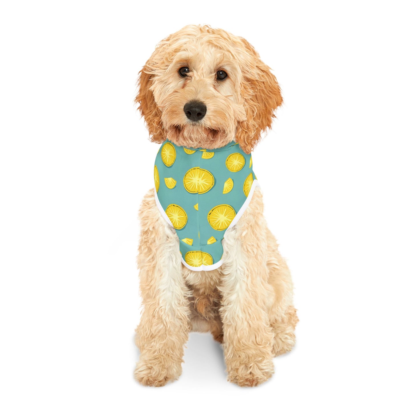 Lemon Slice Pet Hoodie - Fun and Playful Dog Sweater for Pets